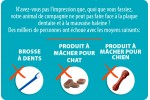 Pupex Dental & Oral Support - Out of Stock